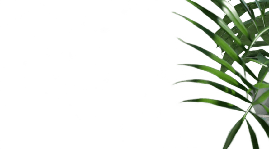 Foreground transparent PNG layer preview